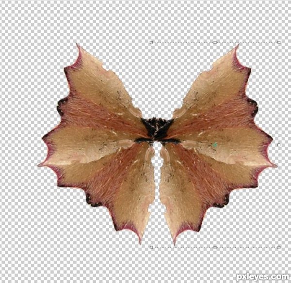 Creation of Butterfly: Step 4